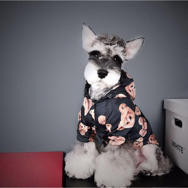 "Stylish BearGuard™ Raincoat - Keep Your Pet Dry and Fashionable"