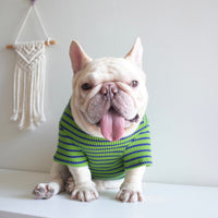 "Stylish Green and Blue Dog Waffle Stripe Shirt - Comfortable and Trendy Pet Apparel"