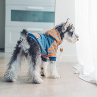 SeasonStride Pet Hoodie - Stylish 100% Cotton Dog Clothes for Smooth Transitions - Striped Pattern - Back Pocket