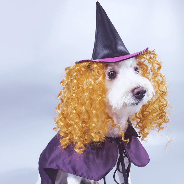 Pet Halloween Costume: MagiPaws™ Hat, Wig & Cloak Combo.