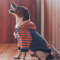 SeasonStride Pet Hoodie - Stylish 100% Cotton Dog Clothes for Smooth Transitions - Striped Pattern - Back Pocket