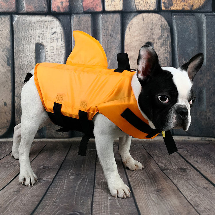 Fashionable Dog Life Jacket: AquaPaws™ SharkGuard for Stylish Water Adventures.