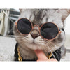 Stylish Pet Sunglasses - Protect Your Pet's Eyes in Style!