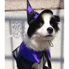 "Halloween Wizard Dress-up Set for Pets - Cape and Hat Combo"