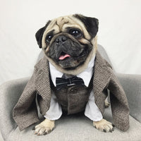 Dapper Dog Formal Wear: Stylish pet wedding attire and tuxedos for dogs | High-quality fabrics and exquisite craftsmanship