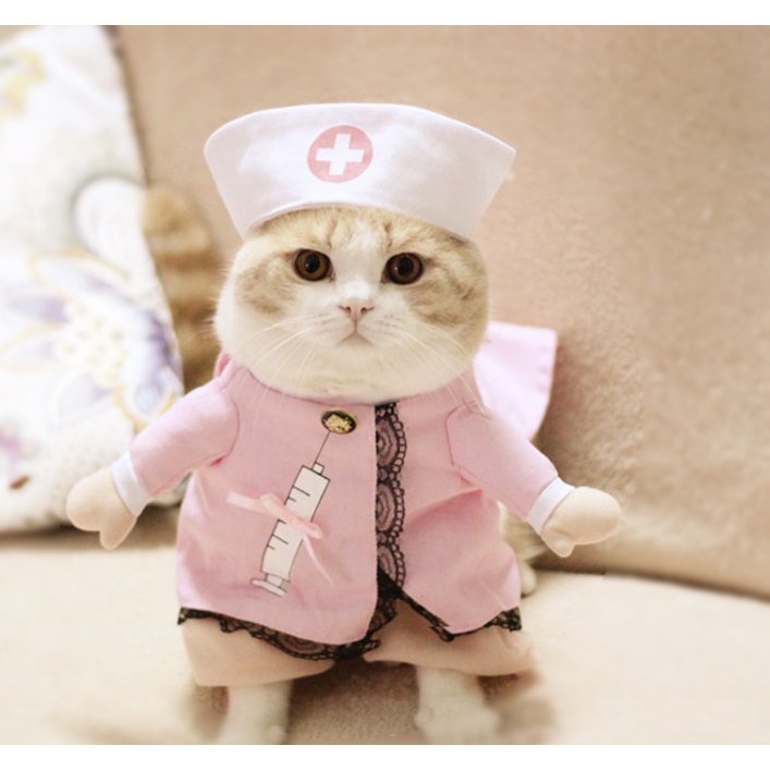 "Get your pet ready for Halloween with a nurse costume"