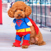 "SuperPaws™ Canine Hero Attire: Transform Your Dog into a Superhero"