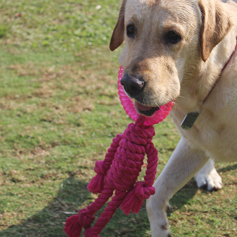 Jumbo ™Interactive Rope Ball: Promote Mental Stimulation and Physical Activity