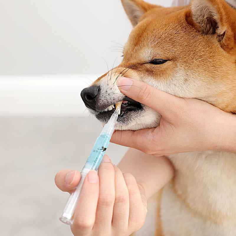 FreshSmile Pet Dental Care Kit: Complete oral hygiene for dogs & cats, removes tartar & freshens breath.