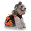 "Enchanted Pet Couture: WizPump™ & GhostGlam™ Halloween Pet Dress - Spooktacular costume for your furry friend!"