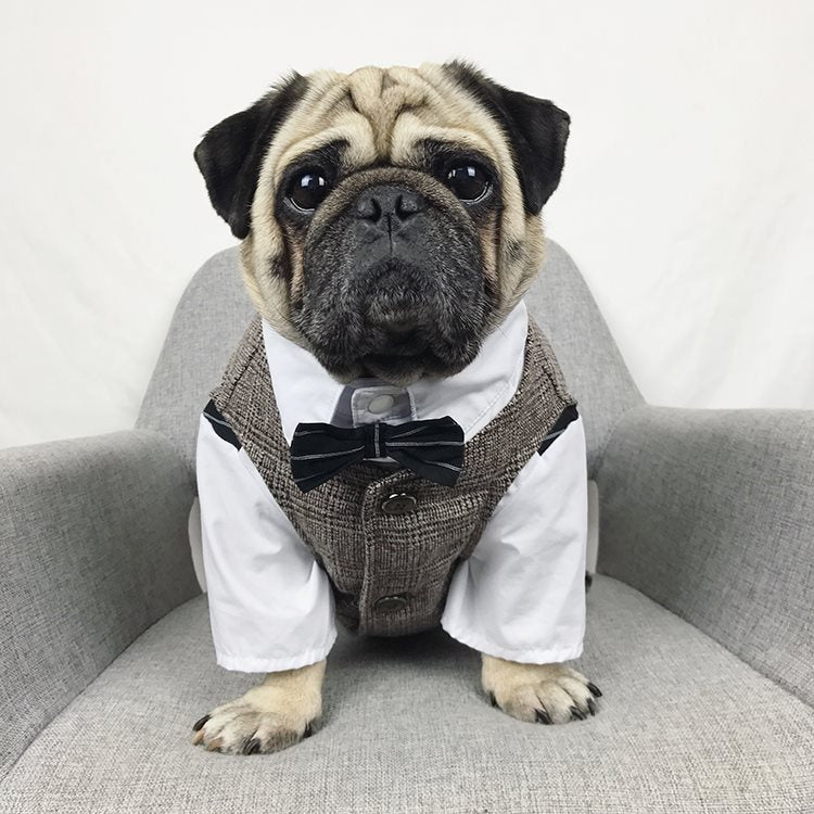 Dapper Dog Formal Wear: Stylish pet wedding attire and tuxedos for dogs | High-quality fabrics and exquisite craftsmanship