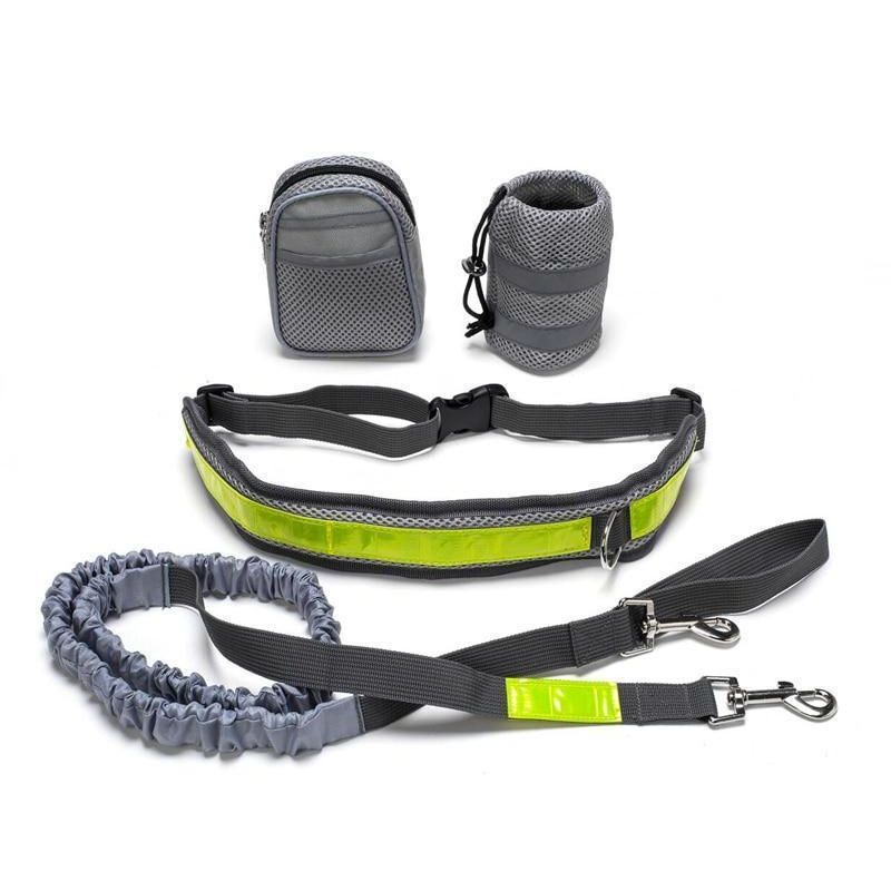 Hands-Free Dog Leash: Enjoy Active Runs with Your Canine Companion.