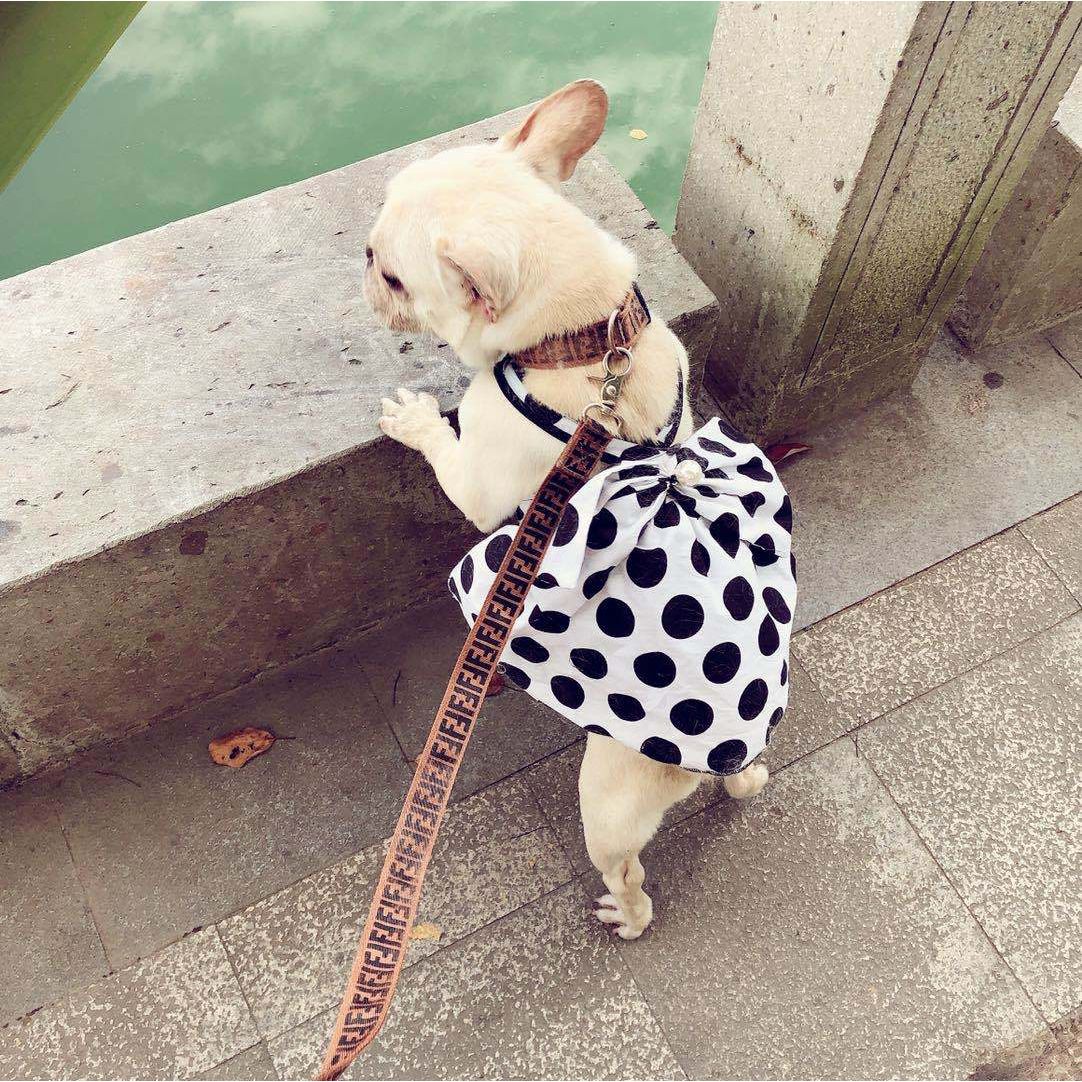 PupCouture Black Dot Bow Dress - Stylish and Cute Dog Dress for Small Dogs - Polyester Material - Perfect for Summer Fashion