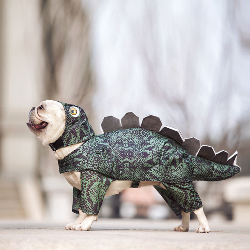 Adorable Stegosaurus™ Dog Costume for Jurassic-style canine fun!