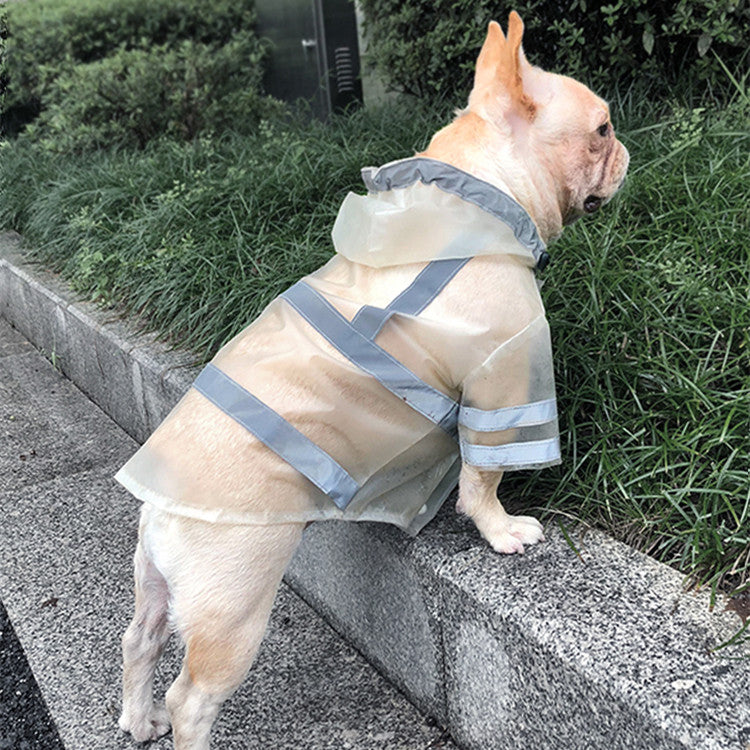 Keep Your Dog Dry & Safe - GlowGuard Reflective Coat.