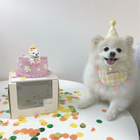 Dog Party Cake Bib and Hat Set - Fun and Cute Pet Birthday Party Accessories