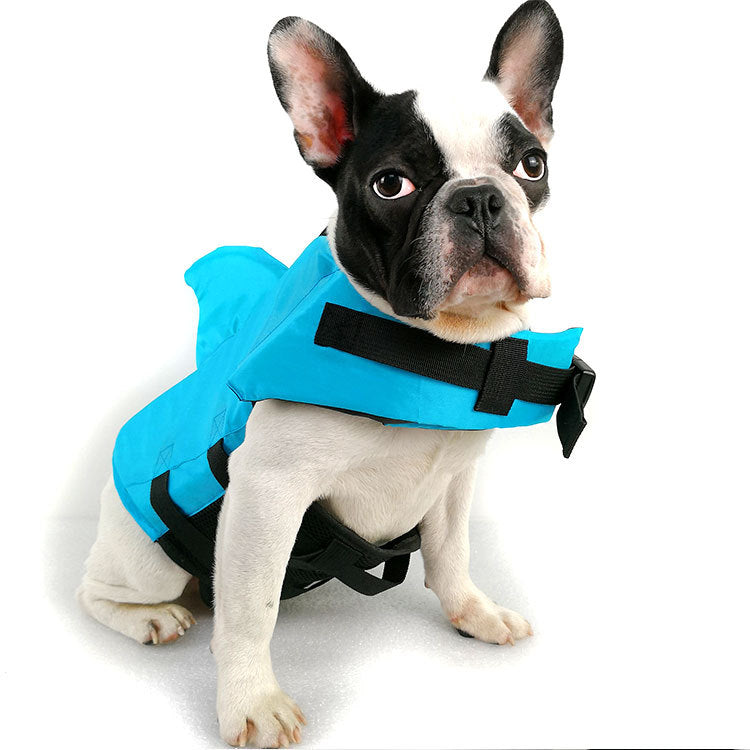 Fashionable Dog Life Jacket: AquaPaws™ SharkGuard for Stylish Water Adventures.