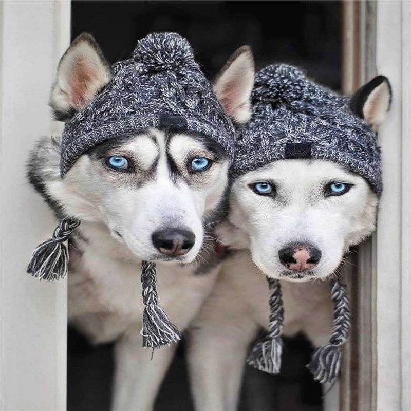 Shop the Pup-Cozy™ Beanie: Perfect Winter Accessory for Dogs.