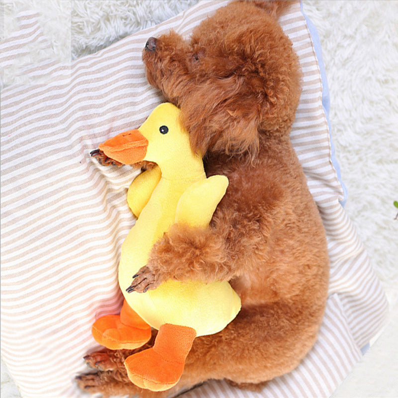 Interactive Musical Dog Toy: QuackPup™ Plush Melody, Fun and Entertainin