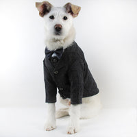 Dapper Dog Formal Wear: Stylish pet wedding attire and tuxedos for dogs | High-quality fabrics and exquisite craftsmanship