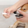 FreshSmile Pet Dental Care Kit: Complete oral hygiene for dogs & cats, removes tartar & freshens breath.