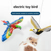 Feathered bird cat toy for playtime delight - satisfy your cat's hunting instincts