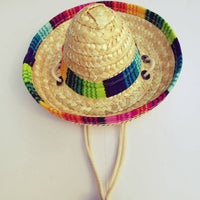 Pet Mexican Sombreros - Trendy and Cute!