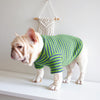 "Stylish Green and Blue Dog Waffle Stripe Shirt - Comfortable and Trendy Pet Apparel"