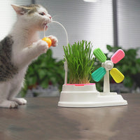 Windmill Interactive Cat Toy - Engaging play, cat grass cultivation - Ideal for indoor cats - Durable and safe materials