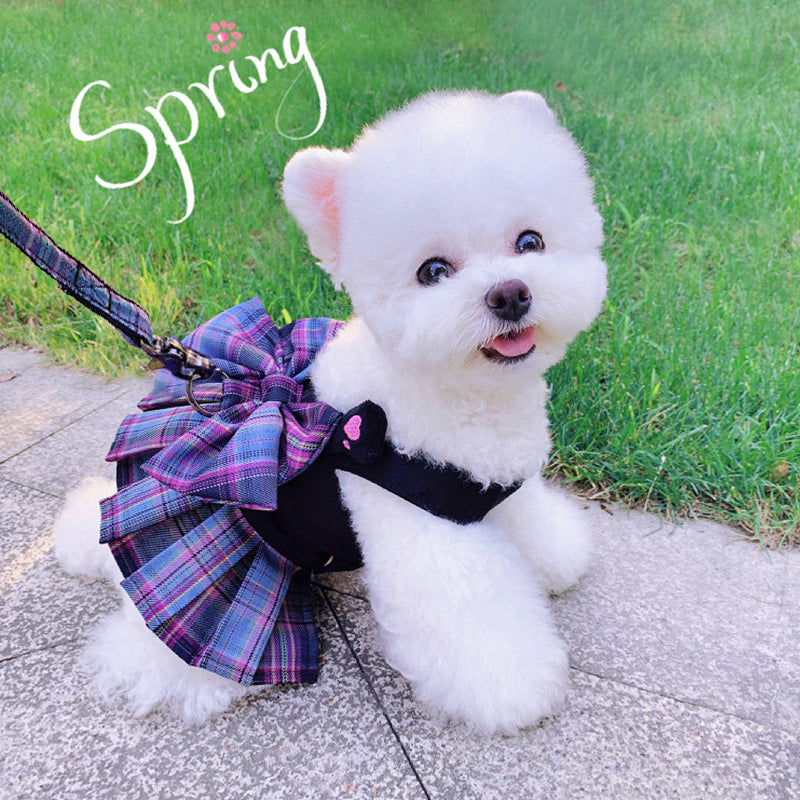 Shop Pawsome™ Vest & Leash Combo: Safe & Trendy Pet Fashion.