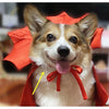 Halloween Pet Costume - Transform Your Pet into a Vampire.