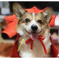 Halloween Pet Costume - Transform Your Pet into a Vampire.