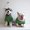 "Stylish Green and Blue Dog Waffle Stripe Shirt - Comfortable and Trendy Pet Apparel"